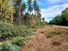 Hechtel-Eksel - Werkzaamheden langs fietspad Fietsen door de Bomen