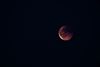 Lommel - Bloedmaan, een totale maansverduistering