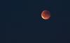 Peer - Bloedmaan boven Peer