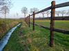 Peer - Aandacht voor bescherming pony's en paarden