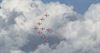 Beringen - Repetitie Sanicole Airshow