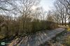 Bocholt - Een sterker bos voor morgen in Bocholt