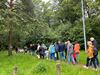 Leopoldsburg - Bosoppervlakte neemt toe met 2.600 ha