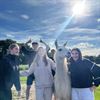 Lommel - Leerlingen leven zich uit op Summercamp
