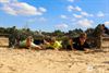 Lommel - Geslaagde eerste editie Desert Fire Run