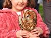 Oudsbergen - Uilen en roofvogels vliegen de vrije wereld in