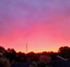 Pelt - Ochtendrood, water in de sloot