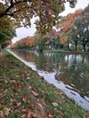 Pelt - Herfstkleuren langs het kanaal