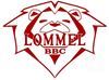 Lommel - Basket: Lommel wint op bezoek in Waregem