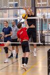 Lommel - Succesvolle volleystage bij Lovoc