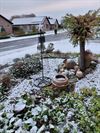 Beringen - Eerste sneeuw (2)