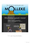 Bree - Molleke - 27 december '25
