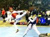 Beringen - 9 podiumplaatsen voor Taekwondo Dongji Beringen