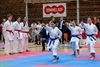 Pelt - Weer top-karate-tornooi in het Dommelhof