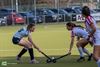 Pelt - Phoenix-dames winnen vlot van Antwerp