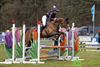 Pelt - Eventing in Holven lokt ruiters en publiek
