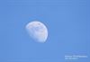 Peer - Witte maan in blauwe hemel