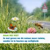 Bocholt - Maai Mei Niet in Bocholt