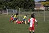 Beringen - Jeugdvoetbaltornooi KVK Beringen