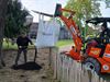 Beringen - Extra verzorging voor kastanjeboom
