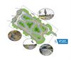 Peer - Werken aan pumptrack starten op 18 mei