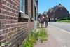 Oudsbergen - Knelpuntenwandeling toont problemen