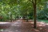 Bree - Code geel voor brandgevaar in Limburg
