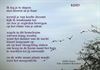 Beringen - Ik leg je te slapen