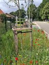 Oudsbergen - Van grijze berm naar groene bloemenstrook