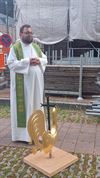 Hamont-Achel - Torenhaan keert terug naar Achelse kerktoren