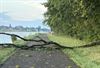 Beringen - Schade door onweer