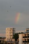 Beringen - Een stukje regenboog