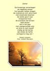 Beringen - Robert Leyssens: zomer