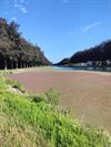 Bocholt - Blauwalg duidelijk zichtbaar op kanaal in Bocholt