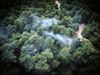 Pelt - Kleine drone helpt grote bosbrand voorkomen