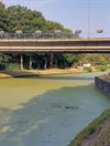 Lommel - Late St. Patrick's Day op het kanaal?