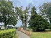 Beringen - Stad genomineerd voor 1.2 Tree Award