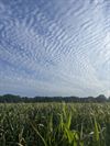 Beringen - Mooi weekend