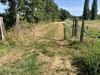 Pelt - Wandelaar botst op hindernissen op Buurtweg 12