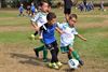 Peer - Geslaagde Breugel Cup 2026