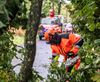 Beringen - Kort maar fel onweer