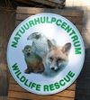 Oudsbergen - Poema opgevangen in Natuurhulpcentrum