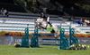Hamont-Achel - Joy Lammers stoomt Pink klaar voor groter werk