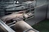 Bocholt - Dag van de Landbouw strijkt neer bij PVL