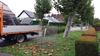 Peer - 385 bladkorven duiken weer op in Peer