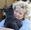 Hamont-Achel - Honderden geredde honden keren terug naar Hamont