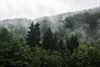 Pelt - Als de campings in de Ardennen sluiten...