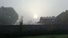 Pelt - Mist en zon