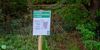 Pelt - Kritiek op locatie hondenlosloopzone Boseind