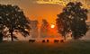 Pelt - Aan de andere kant kleurde de ochtend rood